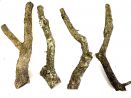 Gałęzie korkowe Cork Branch- gałąź dębu korkowego 50cm 40,00 zł