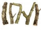 Gałęzie korkowe Cork Branch - gałąź dębu korkowego 40cm 35,00 zł