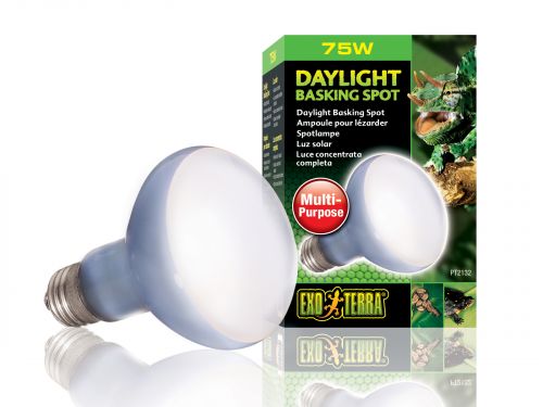 Neodymowa żarówka grzewcza Daylight Basking Spot 75W EXO TERRA 39,99 zł