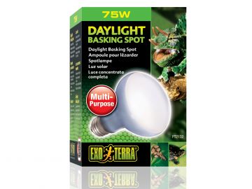 Neodymowa żarówka grzewcza Daylight Basking Spot 75W EXO TERRA EX-1320 39,99 zł