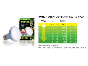 Neodymowa żarówka grzewcza Daylight Basking Spot 75W EXO TERRA EX-1320 39,99 zł