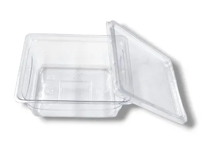 Pojemnik hodowlany przezroczysty - 11x8,5x5 250ml 2,50 zł