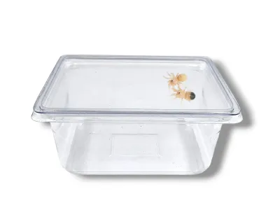 Pojemnik hodowlany przezroczysty - 11x8,5x5 250ml 2,50 zł