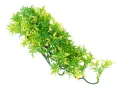 Roślina sztuczna do terrarium BOLIVIAN CROTON S 36cm ZooMed 29,99 zł