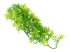 Roślina sztuczna do terrarium BOLIVIAN CROTON S 36cm ZooMed 29,99 zł