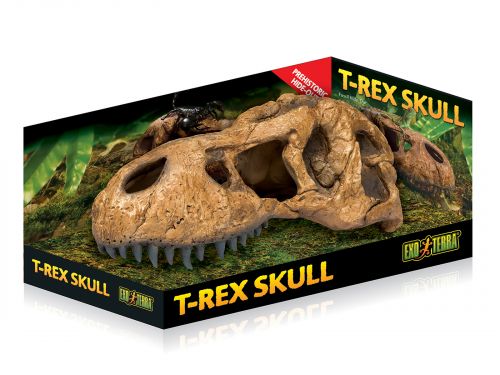 Czaszka tyranozaura duża T-REX SKULL Exo Terra 77,99 zł