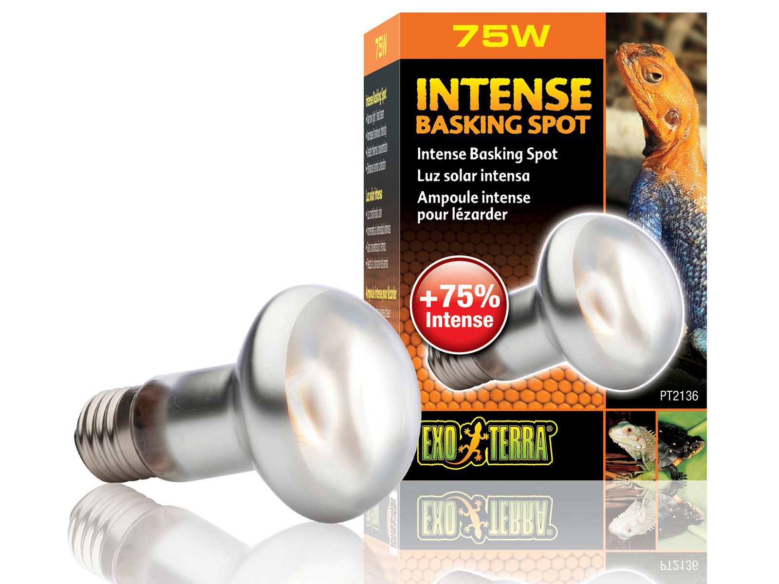 Żarówka grzewcza Intense Basking Spot 75W EXO TERRA EX-1368 34,99 zł