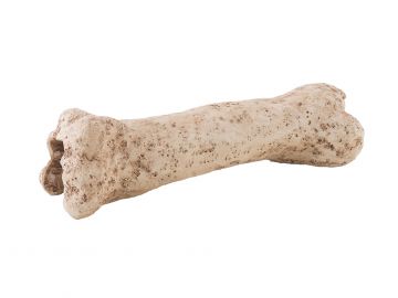 Kryjówka - kość dinozaura Exo Terra EX-8428 27,99 zł