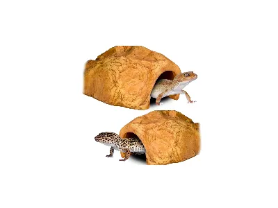 Kryjówka do terrarium 22x13x8,5cm - Rock Shelter bez dna - Terrario 49,99 zł