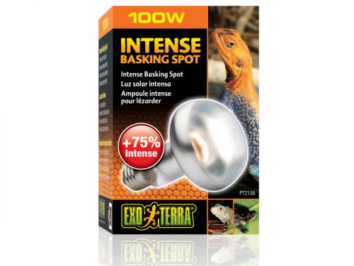 Żarówka grzewcza Intense Basking Spot 100W Exo Terra EX-1382 45,00 zł