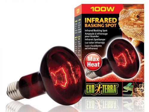 Żarówka Infrared Basking Spot 100W Exo Terra EX-1443 49,99 zł