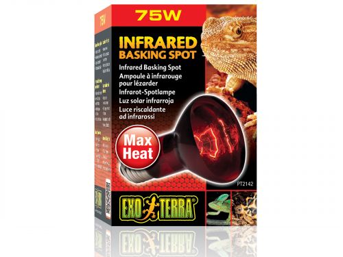 Czerwona żarówka grzewcza Infrared Basking Spot 75W Exo Terra EX-1429 49,99 zł