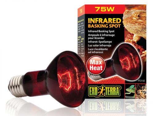 Czerwona żarówka grzewcza Infrared Basking Spot 75W Exo Terra EX-1429 49,99 zł