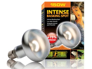 Intense Basking Spot 150W - żarówka grzewcza Exo Terra EX-1405 44,99 zł
