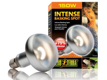 Żarówka grzewcza Intense Basking Spot 150W Exo Terra EX-1405 44,99 zł