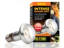 Żarówka grzewcza Intense Basking Spot 50W EXO TERRA 34,99 zł