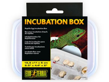 Box inkubacyjny, pojemnik do inkubacji 12 jajek Exo Terra EX-4437 44,49 zł