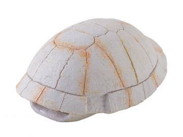 Kryjówka szkielet żółwia Exo Terra EX-9272 34,99 zł