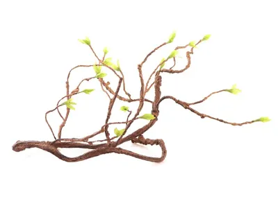Liana, drzewko gięte Jungle Tree 100cm Repti-Zoo – dekoracja do terrarium, naturalny wystrój