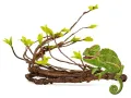 Liana, drzewko gięte Jungle Tree 100cm Repti-Zoo – dekoracja do terrarium, naturalny wystrój