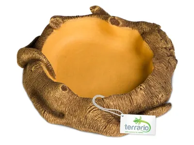 Miska do terrarium Rustic Wood Bowl 12x12x3,5 cm Terrario – miska / poidło do terrarium dla