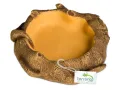 Miska do terrarium Rustic Wood Bowl 12x12x3,5 cm Terrario – miska / poidło do terrarium dla