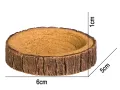 Miseczka do terrarium dla małych zwierząt 6x5x1cm Tree Ring Bowl XS Terrario