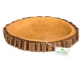 Miseczka do terrarium dla małych zwierząt 6x5x1cm Tree Ring Bowl XS Terrario