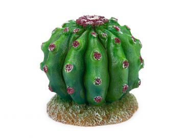 Kaktus 10cm - ozdoba do terrarium HAPPET U763 34,99 zł