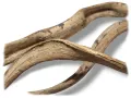 Naturalna liana do terrarium NaturalVine - cienka kręcona 45-55cm – dekoracja do terrarium