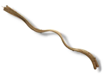 Naturalna liana do terrarium NaturalVine - cienka kręcona 45-55cm – dekoracja do terrarium