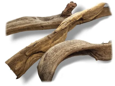 Naturalna gruba liana do terrarium NaturalVine - 45-55cm