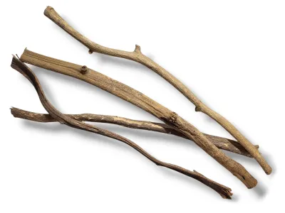 Naturalna liana do terrarium NaturalVine - cienka prosta 45-55cm