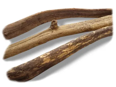 Naturalna liana do terrarium NaturalVine - cienka prosta 45-55cm