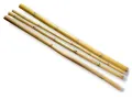 Bambus, tyczka bambusowa Bamboo Stick 50cm