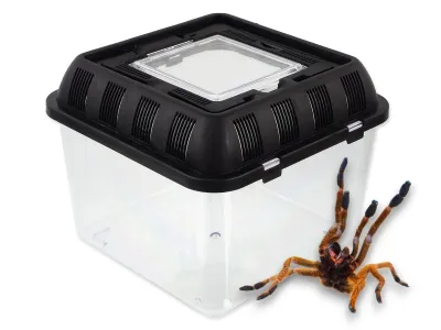 Pojemnik hodowlany - Faunarium S 20,5x20,5x17cm Repti Planet