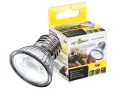 Żarówka Mini LED 5W - oświetlenie do terrarium do roślin Repti-Zoo – lampa / oświetlenie do