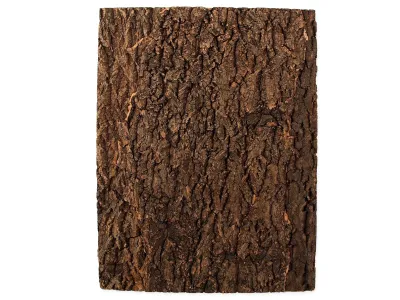 Tło do terrarium 45x60cm z naturalnego korka Repti Planet – terrarium dla bezkręgowców, gadów