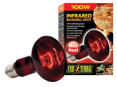 Czerwona żarówka grzewcza Infrared Basking Spot 100W Exo Terra – żarówka grzewcza, punkt