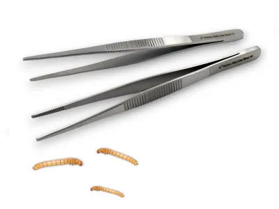 Pęseta terrarystyczna Hard Grip 11,5cm 12,00 zł