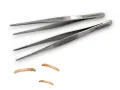 Pęseta terrarystyczna Hard Grip 11,5cm 12,00 zł