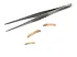 Pęseta terrarystyczna Hard Grip 11,5cm 12,00 zł