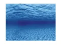 Tło do akwarium / terrarium korzenie lub woda folia 100x50cm Aqua Nova