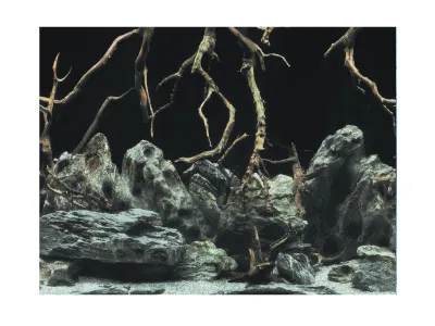 Tło do akwarium / terrarium korzenie lub woda folia 100x50cm Aqua Nova