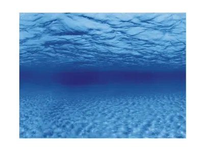 Tło do akwarium / terrarium korzenie lub woda folia 60x30cm Aqua Nova