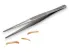 Pęseta terrarystyczna Hard Grip 15cm 17,00 zł