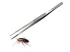 Pęseta terrarystyczna Hard Grip 25cm 32,00 zł