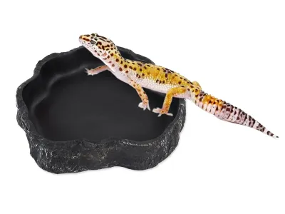 Miska do terrarium na wodę lub pokarm 15x14x3cm CZARNA Repti Planet – pokarm dla zwierząt