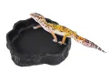 Miska do terrarium na wodę lub pokarm 15x14x3cm CZARNA Repti Planet – pokarm dla zwierząt