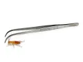 Pęseta terrarystyczna Hard Grip 25cm ZAKRZYWIONA 35,00 zł